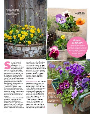 sondag-20210411_000_00_00_077.pdf