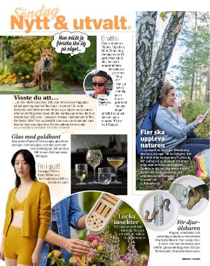 sondag-20210418_000_00_00_008.pdf