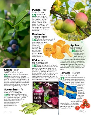 sondag-20210418_000_00_00_029.pdf