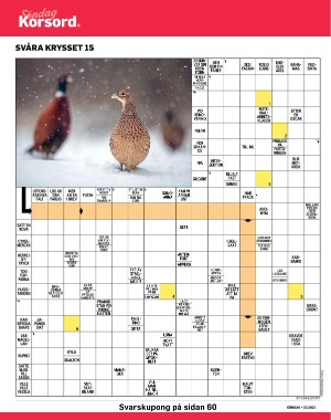 sondag-20210418_000_00_00_042.pdf