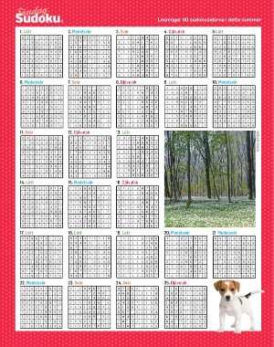 sondag-20210418_000_00_00_066.pdf