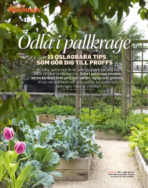 sondag-20210418_000_00_00_076.pdf