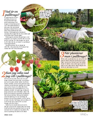 sondag-20210418_000_00_00_077.pdf