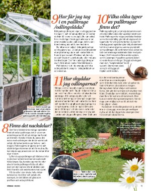 sondag-20210418_000_00_00_079.pdf