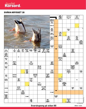 sondag-20210425_000_00_00_042.pdf