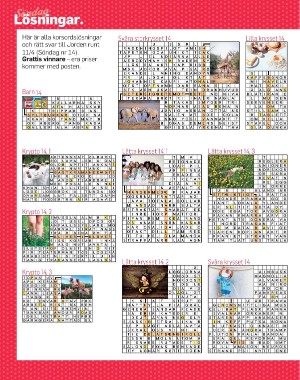 sondag-20210502_000_00_00_060.pdf