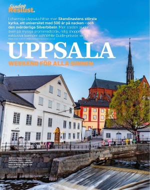 sondag-20210509_000_00_00_080.pdf