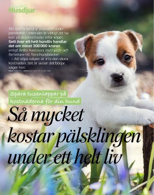 sondag-20210516_000_00_00_066.pdf