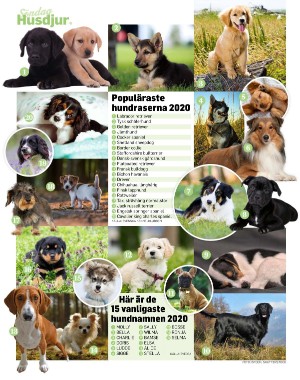 sondag-20210516_000_00_00_072.pdf