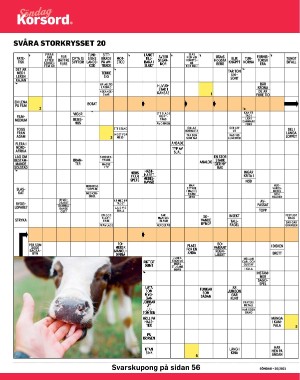 sondag-20210523_000_00_00_040.pdf