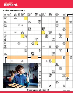 sondag-20210530_000_00_00_038.pdf