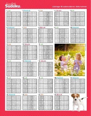 sondag-20210530_000_00_00_064.pdf