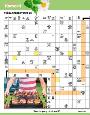 sondag-20210613_000_00_00_044.pdf