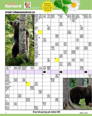 sondag-20210613_000_00_00_054.pdf