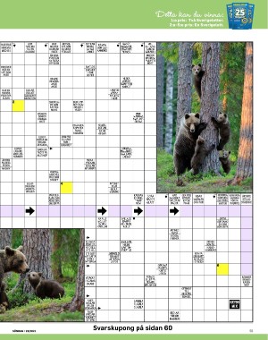 sondag-20210613_000_00_00_055.pdf