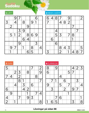 sondag-20210613_000_00_00_056.pdf