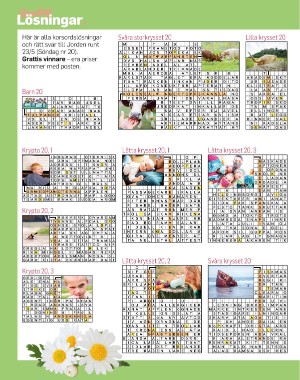 sondag-20210613_000_00_00_064.pdf