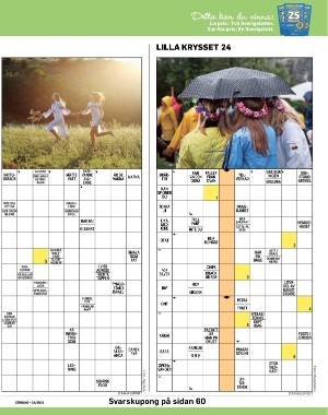 sondag-20210620_000_00_00_045.pdf