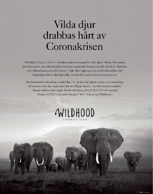 sondag-20210620_000_00_00_100.pdf