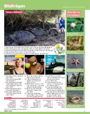 sondag-20210627_000_00_00_063.pdf