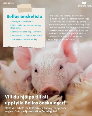 sondag-20210704_000_00_00_023.pdf