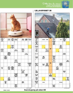 sondag-20210704_000_00_00_043.pdf