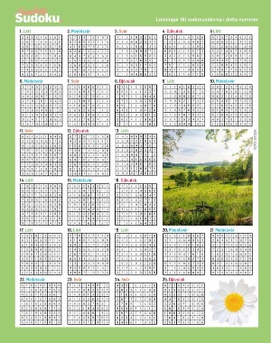 sondag-20210704_000_00_00_068.pdf