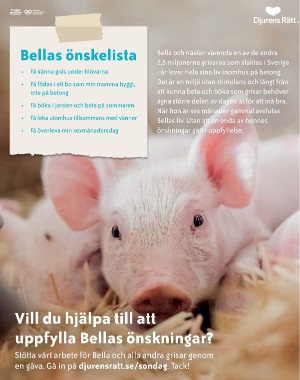 sondag-20210711_000_00_00_017.pdf