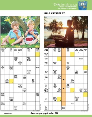 sondag-20210711_000_00_00_045.pdf