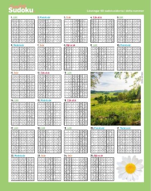 sondag-20210711_000_00_00_066.pdf