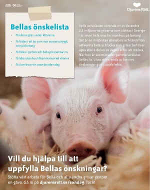 sondag-20210718_000_00_00_067.pdf