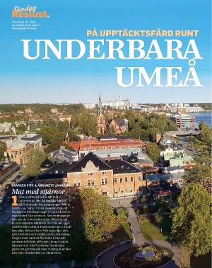 sondag-20210718_000_00_00_084.pdf