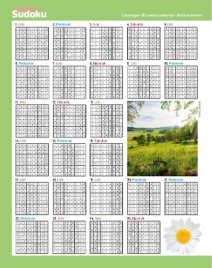 sondag-20210725_000_00_00_066.pdf