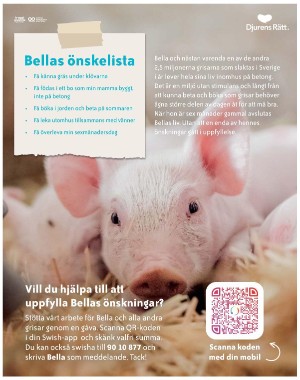 sondag-20210801_000_00_00_107.pdf