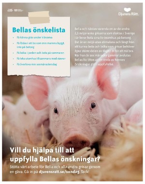 sondag-20210815_000_00_00_035.pdf