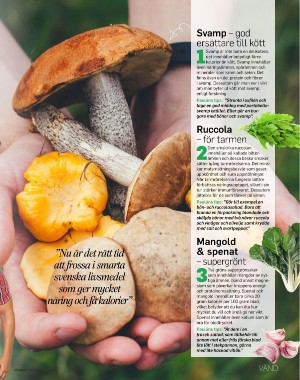 sondag-20210822_000_00_00_027.pdf