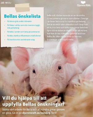 sondag-20210829_000_00_00_036.pdf