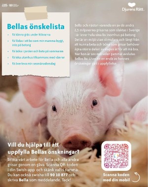 sondag-20210905_000_00_00_064.pdf