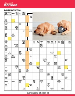 sondag-20210912_000_00_00_042.pdf