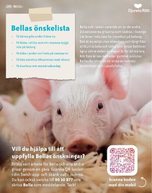 sondag-20210912_000_00_00_099.pdf