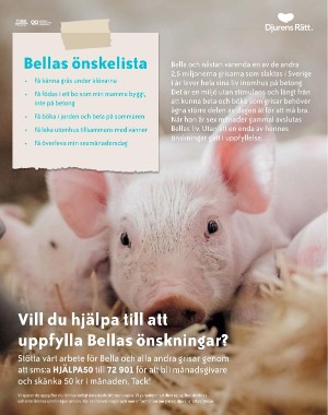 sondag-20211017_000_00_00_063.pdf