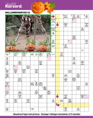 sondag-20211031_000_00_00_052.pdf