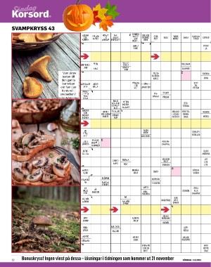 sondag-20211031_000_00_00_062.pdf