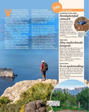 sondag-20211031_000_00_00_097.pdf