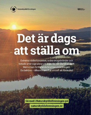 sondag-20211031_000_00_00_101.pdf