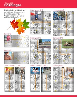 sondag-20211114_000_00_00_060.pdf
