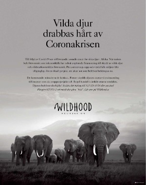 sondag-20211121_000_00_00_095.pdf