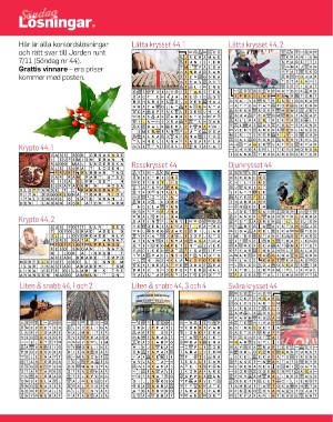 sondag-20211128_000_00_00_060.pdf