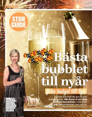 sondag-20211226_000_00_00_086.pdf