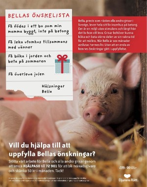 sondag-20211226_000_00_00_103.pdf